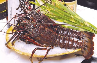 磯陣 メニュー 旬の魚 ぐるなび