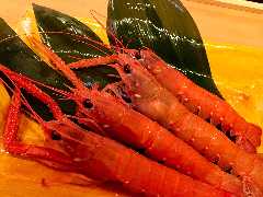 磯陣 メニュー 旬の魚 ぐるなび 磯陣 メニュー 旬の魚 ぐるなび