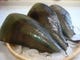 潜水漁で漁れる三重の極上平貝