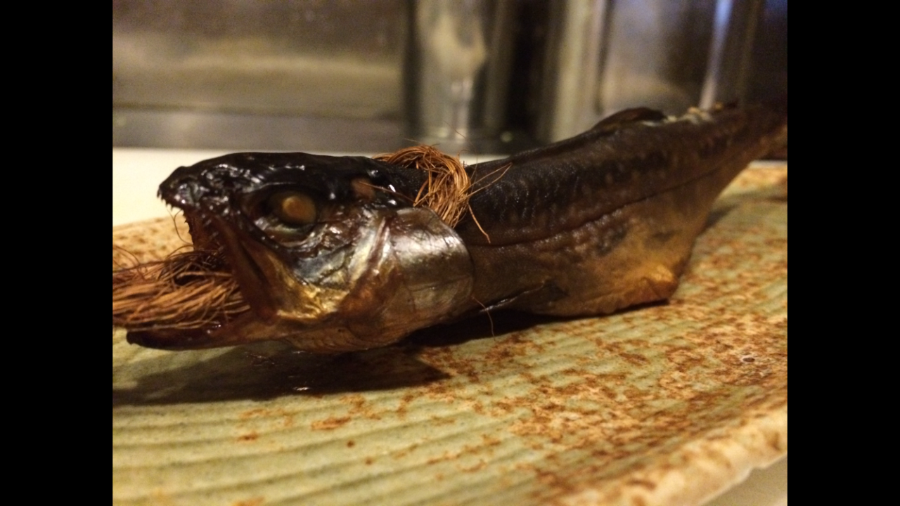 山料理 浜料理 えにし 写真 ぐるなび 山料理 浜料理 えにし 写真 ぐるなび