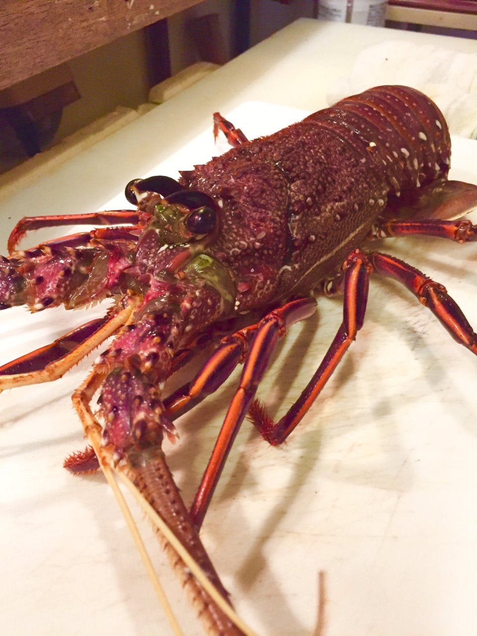 久茂地 みかさ 写真 4ページ目 121件 156件 ぐるなび