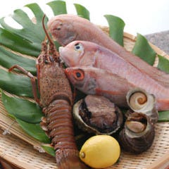 鉄焼酒家 風神 