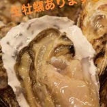 【生牡蠣】北海道厚岸産