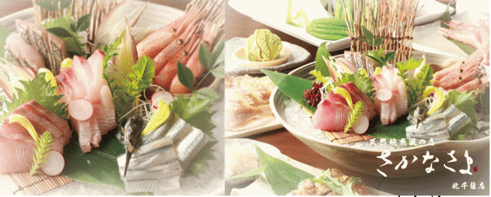 さかなさま 北千住本店