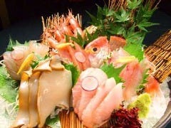 さかなさま 北千住本店