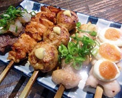やき鳥 一代 和歌山市 焼き鳥 ぐるなび やき鳥 一代 和歌山市 焼き鳥 ぐるなび