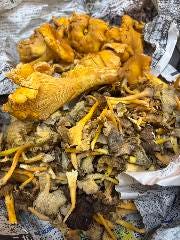 ヨーロッパ産天然きのこ