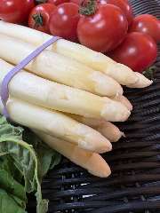 ホワイトアスパラガスのバッサーノ風