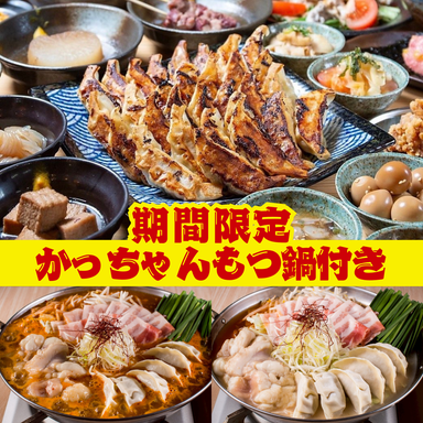 3時間飲み放題居酒屋 餃子のかっちゃん熊本店 個室完備_●食べ飲み放題●【日~木曜日限定★】ほぼ全メニュー100種4500→2780円※生ビール付き