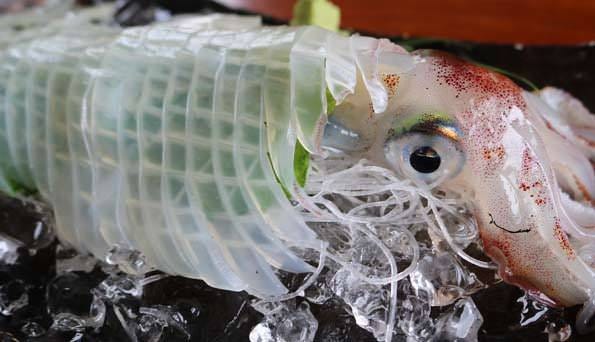 泳ぎイカのお店 炉端家真 自慢の食材 泳ぎイカのお造り ぐるなび