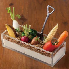 こだわり野菜と食べれる土のファーマーズサラダ