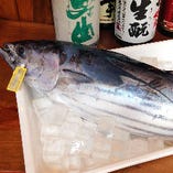 旬魚にこだわり、ある秋の日は、春先よりも脂を蓄えて日本海を南下してきた「戻り鰹」をご用意しました
