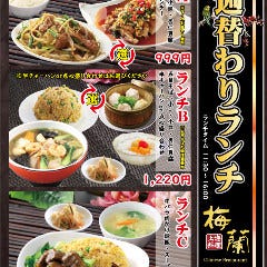 梅蘭 御茶ノ水ワテラス店 ランチメニュー ぐるなび 梅蘭 御茶ノ水ワテラス店 ランチメニュー ぐるなび