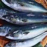 脂質がきわめて豊富。特にEPA、DHAの含有量は青背魚の中でも群を抜いています。
ビタミンＢ12、ビタミンＤも非常に多く含まれています。