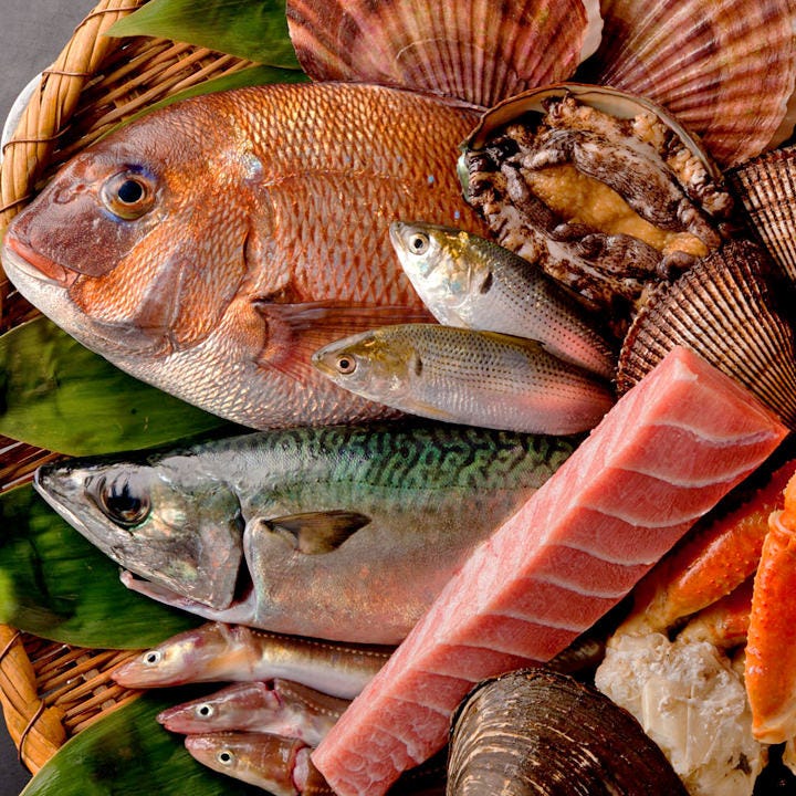 近海の生まぐろを始め、豊洲市場直送の新鮮な活魚を提供致します