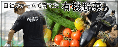 居酒屋べったこ 中目黒店