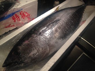 京料理 ぶどう家 メニュー 今月の食材編 ぐるなび