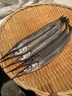 京料理 ぶどう家 メニュー おさかな図鑑 ぐるなび