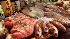 居酒屋 うかい