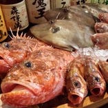 漁師直送の新鮮な鮮魚をお出ししています。坂戸ではお目にかかれない珍しい鮮魚が入る事も！！
