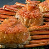 【4月〜11月6日期間限定】金沢港直送『紅ずわい蟹』ご用意しております