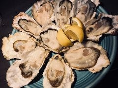 The Oyster’s