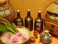 アミュージアム