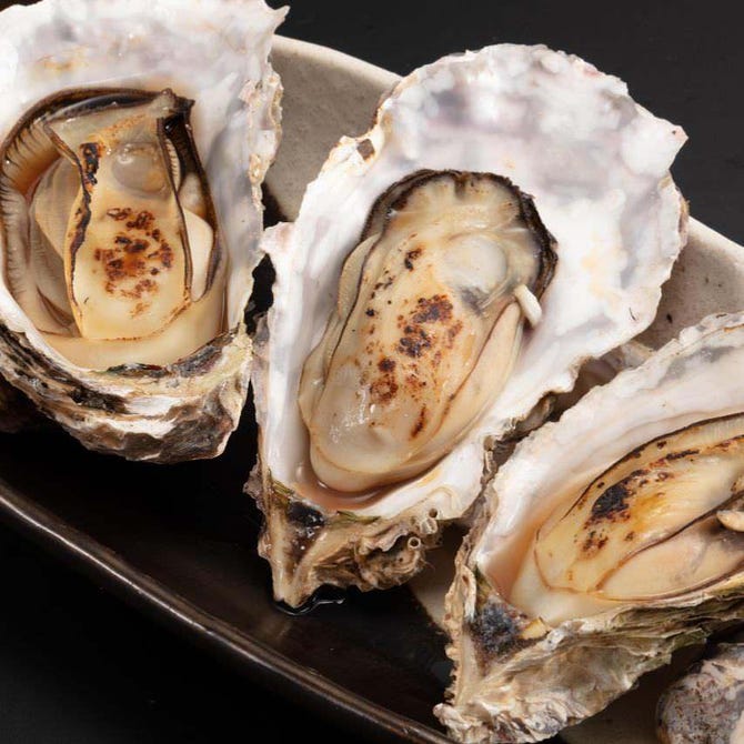 音波 Otoha 船橋店 船橋 西船橋 刺身 ぐるなび 音波 Otoha 船橋店 船橋 西船橋 刺身 ぐるなび