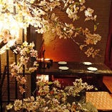 【２～４名様】夜桜を眺めながらのご宴会気分でお寛ぎいただけます。