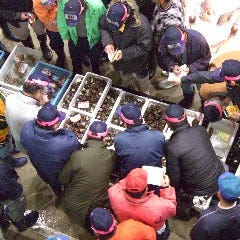 沼津港 海将 上野1号店 