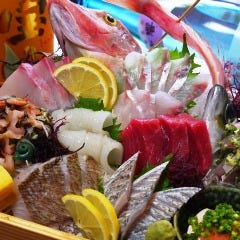 寿司居酒屋 七福 本厚木店 