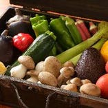 生産者の想いが詰まった旬の野菜はトランク内でスタンバイ