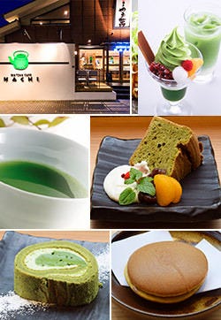 抹茶カフェ Hachi はちごはん 姪浜 小戸 カフェ ぐるなび 抹茶カフェ Hachi はちごはん 姪浜 小戸 カフェ ぐるなび