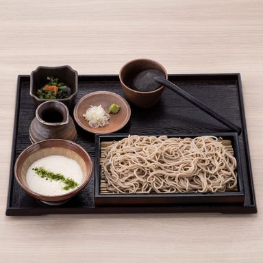 会津十割そばと季節の天ぷら 玄武 横須賀中央_とろろせいろ