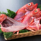 豊洲から毎日仕入れる旬の鮮魚【東京都豊洲】