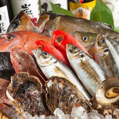 完全個室居酒屋 魚龍 渋谷店 自慢の食材 市場直送鮮魚 ぐるなび