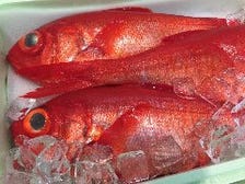 旬の鮮魚・厳選のお取寄せ商品