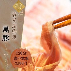 しゃぶしゃぶ 火鍋 桃ノ木 関内店 関内 馬車道 居酒屋 ぐるなび