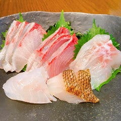 八丈島・銭洲・奄美大島 仙川 釣よし 