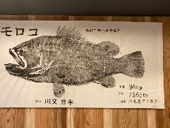 仙川で飲み放題があるおすすめ居酒屋 仙川で飲み放題があるおすすめ居酒屋