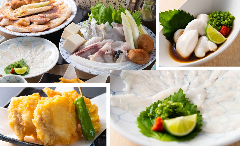 活ふぐ料理 ふくふく