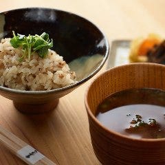 Sako 