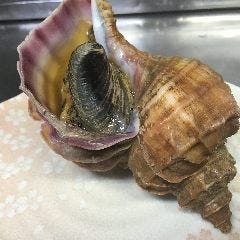 北海道産真つぶ貝