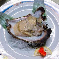 京都の天然の岩牡蠣