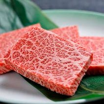 高槻 焼肉 大人数で宴会 5 000円以内 おすすめ人気レストラン ぐるなび 高槻 焼肉 大人数で宴会 5 000円以内 おすすめ人気レストラン ぐるなび