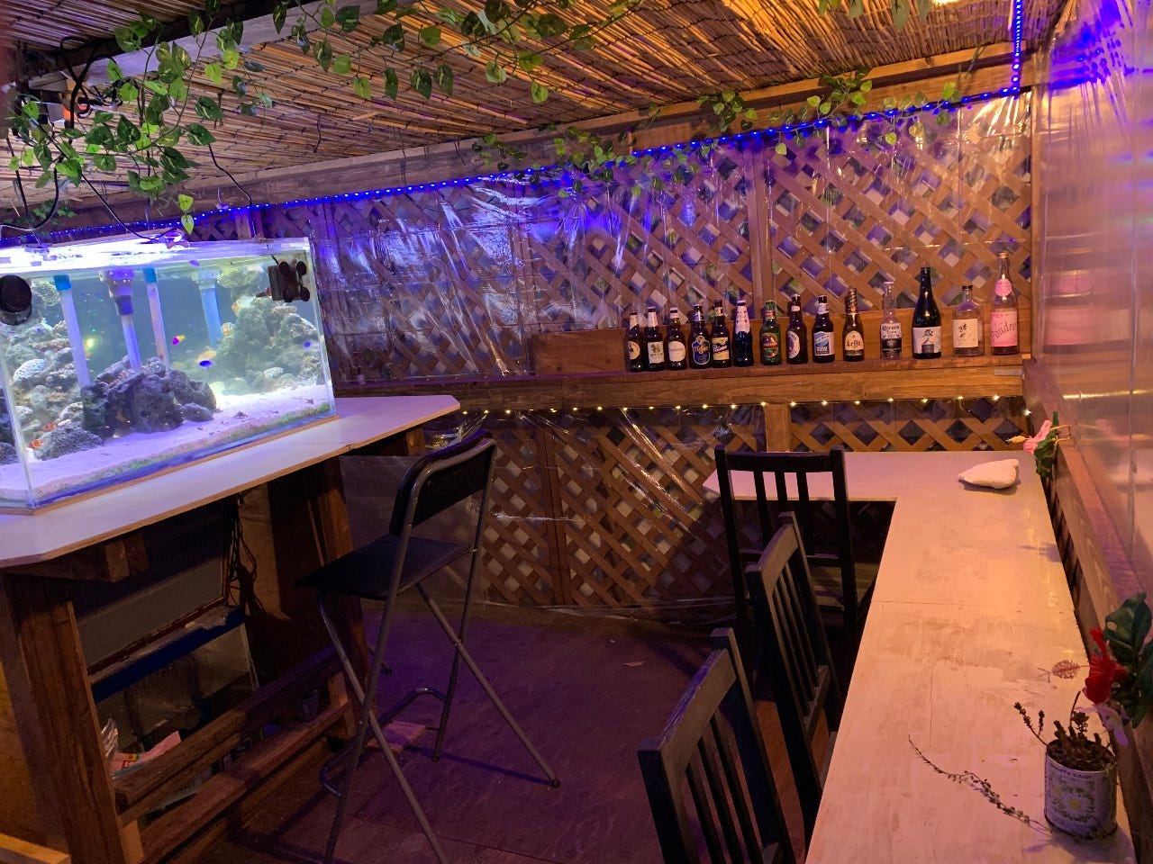 Imagine West Ocean イマジン ウエスト オーシャン 明石 居酒屋 ぐるなび Imagine West Ocean イマジン ウエスト オーシャン 明石 居酒屋 ぐるなび