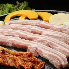 韓国BBQ＆サムギョプサル  豚友家‐トヌガ‐ 新大久保 