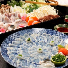 ふぐは贅沢にとらふぐを使用！鍋・刺身・唐揚げなどふぐ三昧