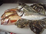 新鮮地魚【新潟県】