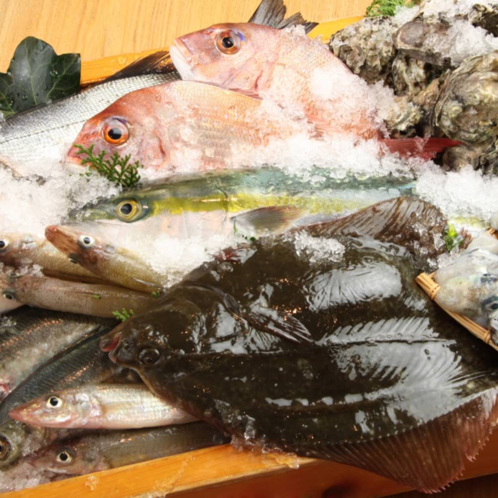 田崎市場から毎日仕入れる鮮魚